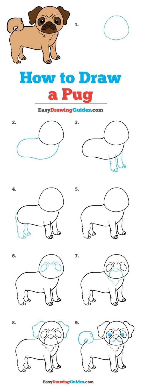 how to draw a dog step by step for kids easy