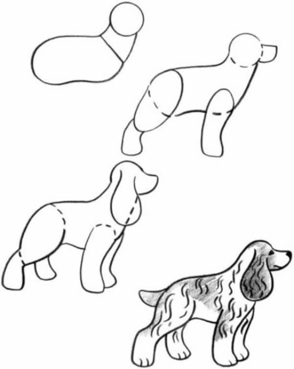 How to Draw a Dog Step by Step Dog Drawing Tutorials 11