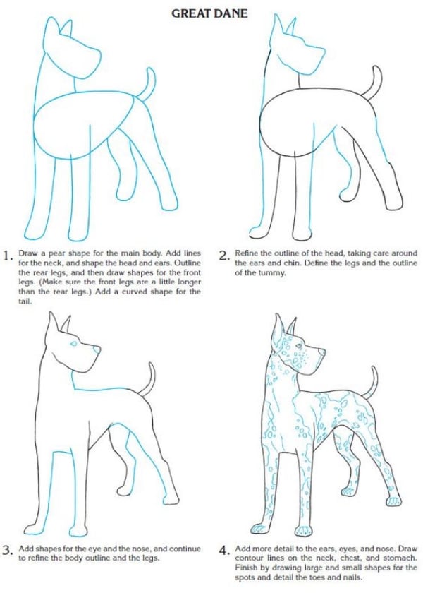 How-to-Draw-a-Dog-Step-by-Step-Dog-Drawing-Tutorials