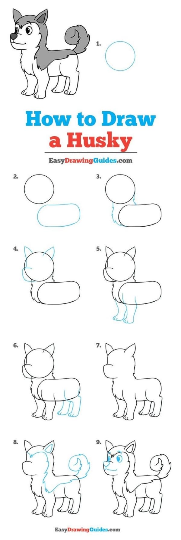 How to Draw a Dog, Step by Step Dog Drawing Tutorials