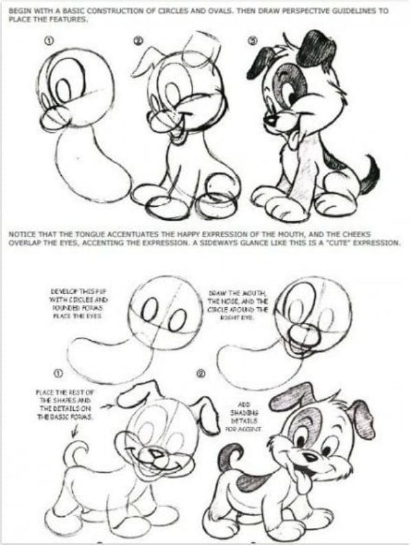 How-to-Draw-a-Dog-Step-by-Step-Dog-Drawing-Tutorials