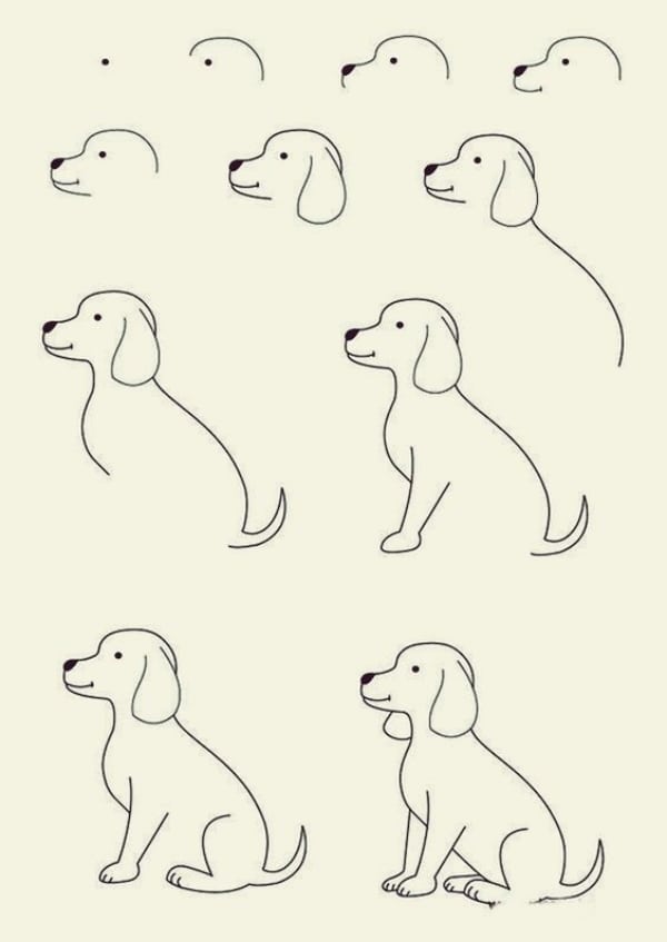 simple dog drawing step by step