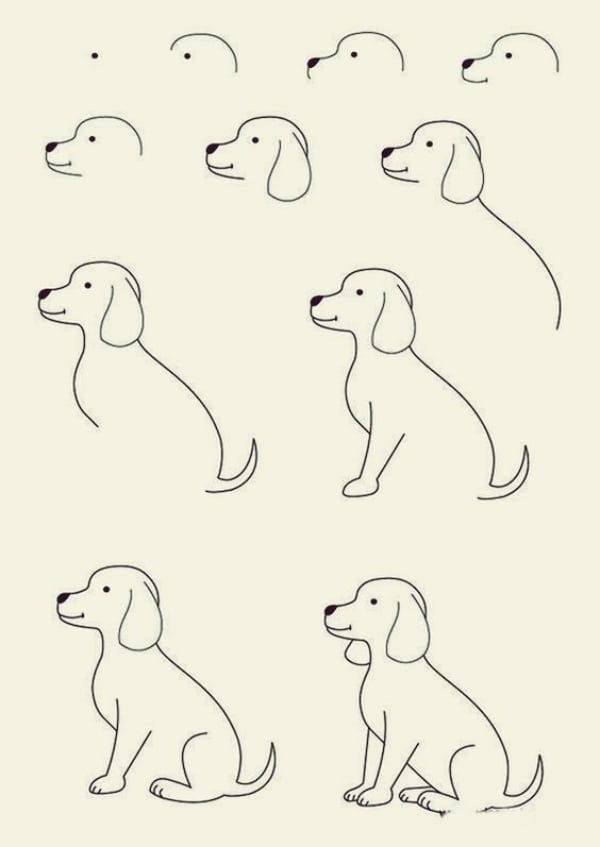 how to draw a dog step by step