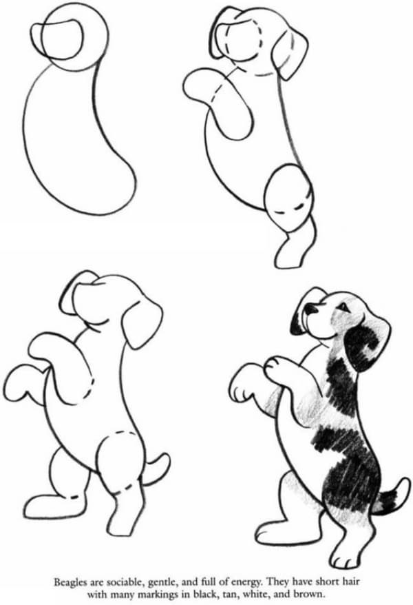 How to Draw a Dog Step by Step Dog Drawing Tutorials Artisticaly