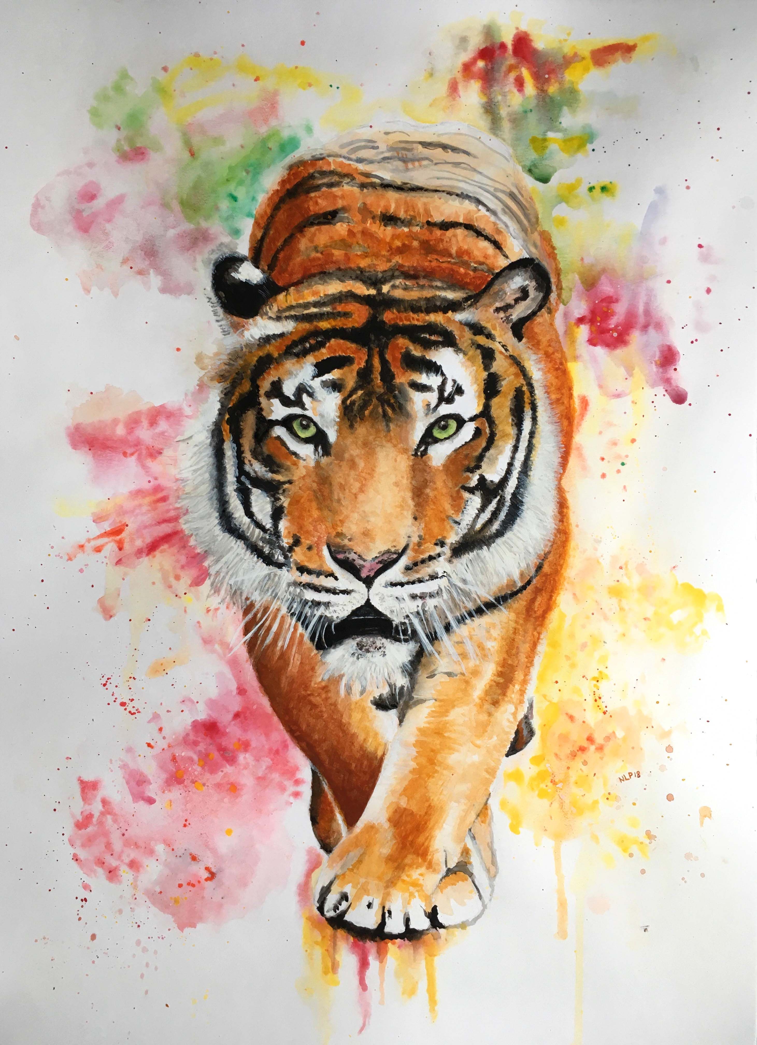 Colourful Paintings Of Animals ~ Colorful, Black Background, Animals ...